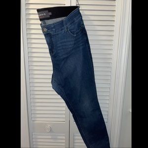 Torrid Bombshell Skinny Jeans 22S